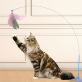 Purrfect Playmate Toy